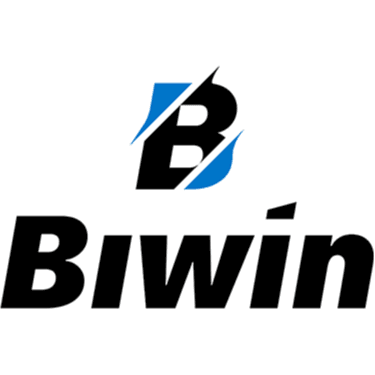 Biwin Storage Store